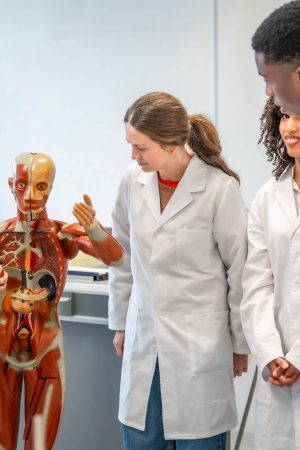 centro juste anatomia cuerpo humano cursos centro juste anatomia cuerpo humano cursos